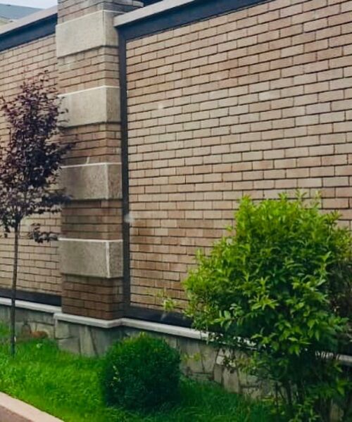 64926810_1602083779925697_1221463514983394607_n